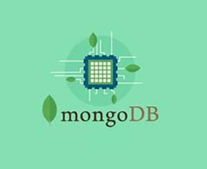 MongoDB - The Complete Developer's Guide