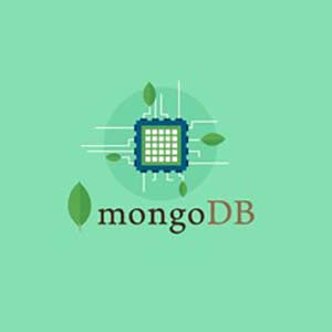 MongoDB - The Complete Developer's Guide