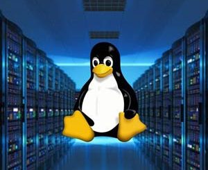 Linux Administration: Build 5 Hands-On Linux Projects 2023