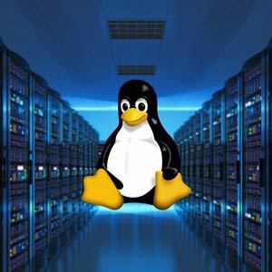 Linux Administration: Build 5 Hands-On Linux Projects 2023