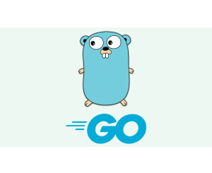 Mastering Go Testing_ Comprehensive Guide To Testing In Go