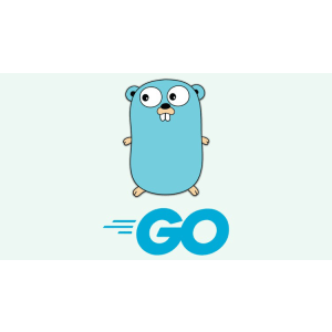 Mastering Go Testing_ Comprehensive Guide To Testing In Go