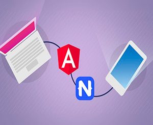 NativeScript + Angular Build Native iOS, Android & Web Apps