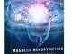 The Magnetic Memory Method Masterclass Cover