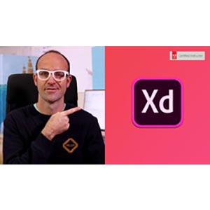 User Experience Design Essentials - Adobe XD UI UX Design