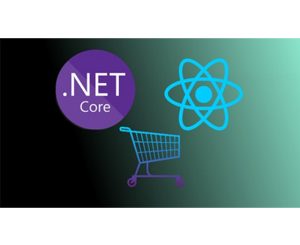 Learn to build an e-commerce store with .Net, React & Redux