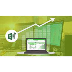 Microsoft Excel - Excel from Beginner to Advanced & VBA