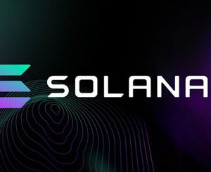 Solana Blockchain Developer Bootcamp with Rust + JavaScript