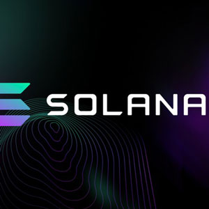 Solana Blockchain Developer Bootcamp with Rust + JavaScript