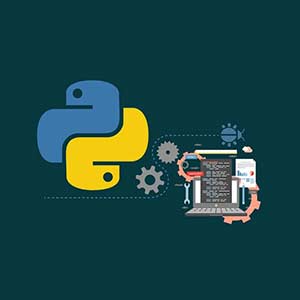 Django Python complete BUNDLE Django real project