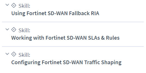 Fortinet NSE 7 - SD-WAN Online Training