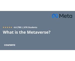 What is the Metaverse_