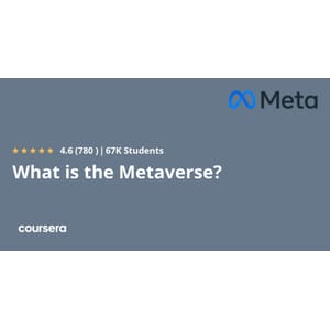 What is the Metaverse_