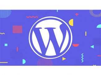 WordPress Development Themes Plugins Gutenberg