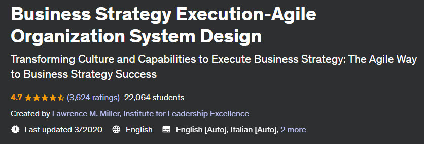 Business Strategy Execution-Agile Organization System Design 