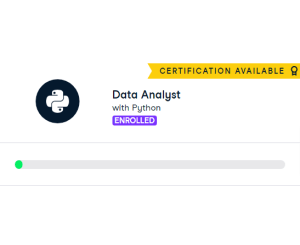 Data Analyst with Python