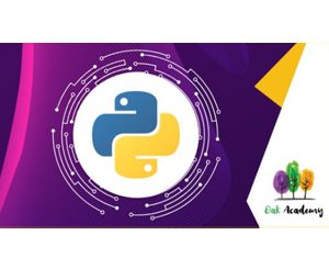 Data Visualization with Python Masterclass