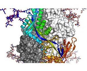 Learn Bioinformatics From Scratch (Theory & Practical)