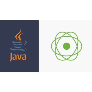 Complete Java Reactive Programming [ From Scratch ]