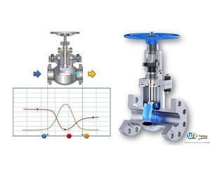 Sizing valves and control valves for the process industry