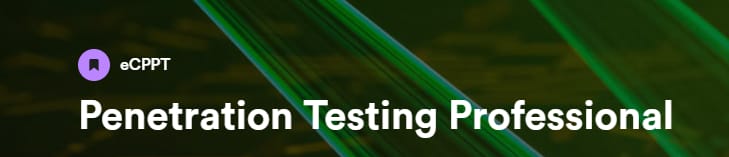 Penetration Testing Professional