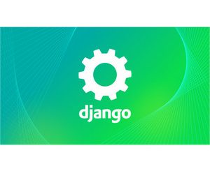 The Ultimate Django Series