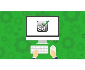 Selenium WebDriver with Java