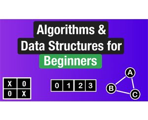 Algorithms & Data Structures for Beginners