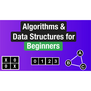 Algorithms & Data Structures for Beginners