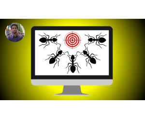 Combinatorial Problems and Ant Colony Optimization Algorithm