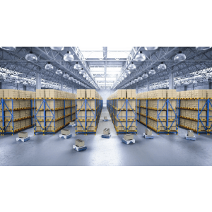 SAP EWM - SAP Extended Warehouse Management