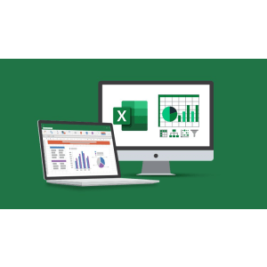 The Ultimate Microsoft Excel Mastery Bundle - 7 Courses