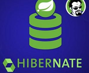 Hibernate and Spring Data JPA: Beginner to Guru