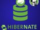 Hibernate and Spring Data JPA: Beginner to Guru