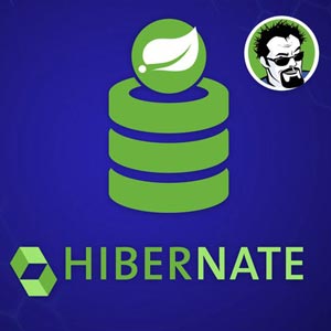 Hibernate and Spring Data JPA: Beginner to Guru