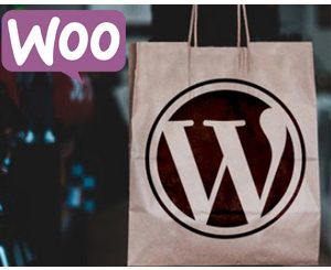 Build eCommerce websites with WordPress & WooCommerce