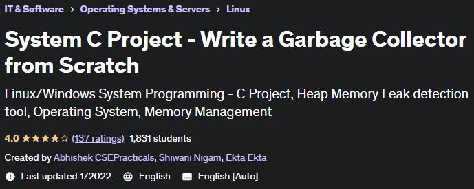 System C Project - Write a Garbage Collector from Scratch