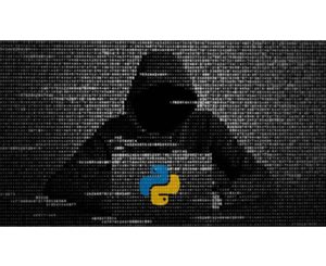 Python Ethical Hacking MASTERCLASS: Zero to Mastery