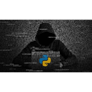 Python Ethical Hacking MASTERCLASS: Zero to Mastery