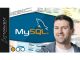 SQL for Data Analysis: Beginner MySQL Business Intelligence