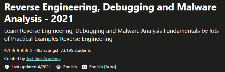 Reverse Engineering, Debugging and Malware Analysis - 2021