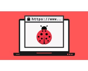 Learn Bug Bounty Hunting & Web Security Testing From Scratch