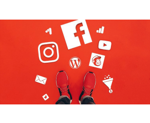 Social Media Marketing Agency : Digital Marketing + Business