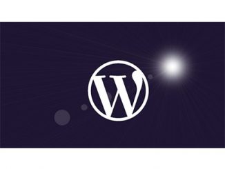 Wordpress for Beginners - Master Wordpress Quickly