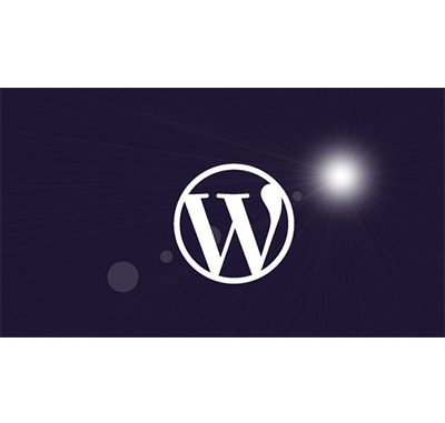 Wordpress for Beginners - Master Wordpress Quickly