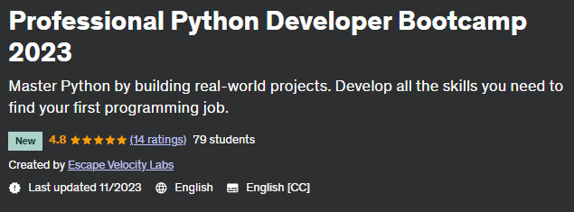 Professional Python Developer Bootcamp 2023