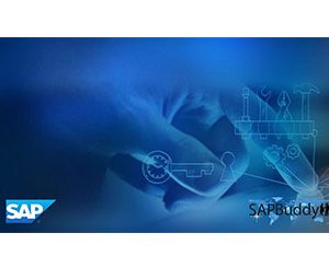 SAP Security Administration