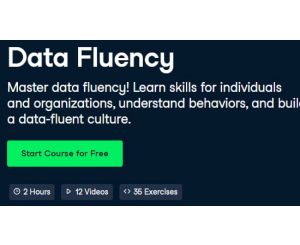 Data Fluency