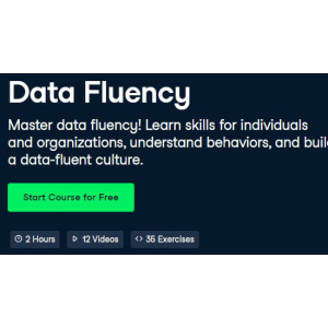 Data Fluency