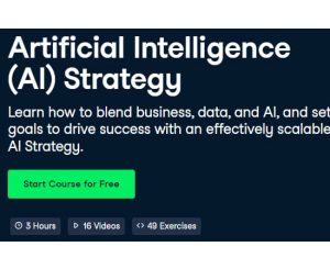 Artificial Intelligence (AI) Strategy